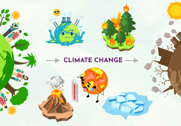 Climate Change: Causes, Impacts, Adaptation