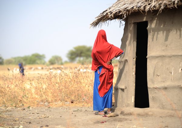 Climate Risk Assessment in Health (using the example of a specific sub-field in the field of health or geographical region)