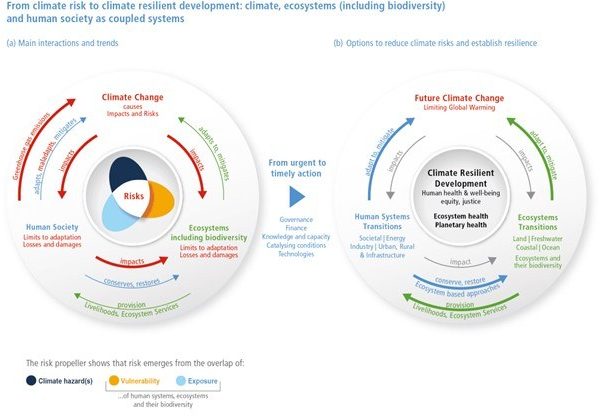 Impacts and risks: assessing vulnerability to climate change