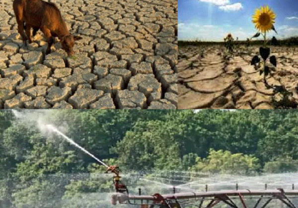 Climate Service Products for Climate Risk Assessment in Agriculture Sector