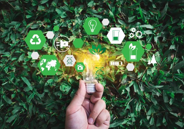 Climate Service Products for Climate Risk Assessment in Energy Sector