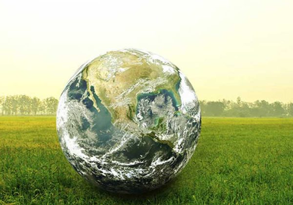 Economics of Climate Change: Case Studies and Best Practices in a Selected Sector of the Economy