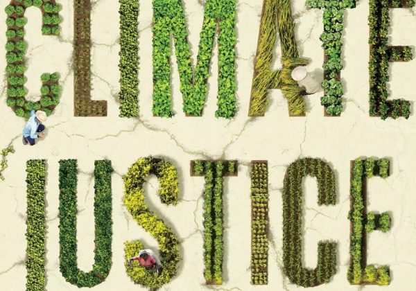 Gender, Specifically Vulnerability Persons and Groups