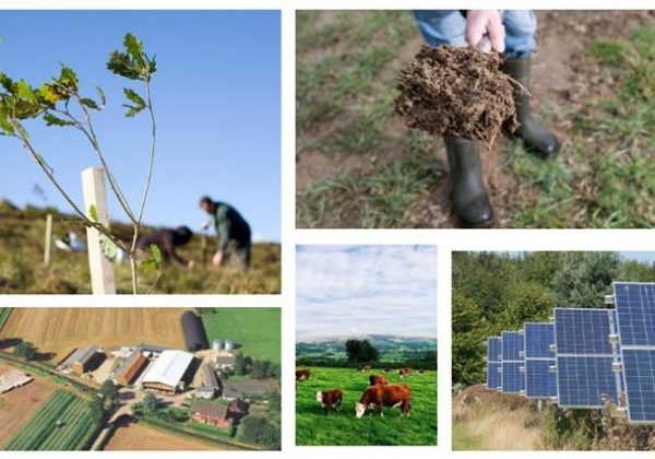 Climate change mitigation and adaptation strategies for different sectors of the economy of Ukraine