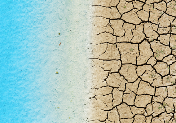 Case studies and best practices in water management