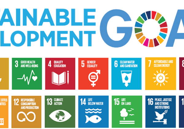 UN Sustainable Development Goals and Goal 13