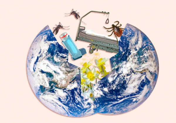 UN Sustainable Development Goals and Goal 13 in Healthcare